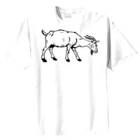 Tultex Mens Ring Spun Cotton Tee Thumbnail