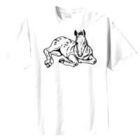 Tultex Mens Ring Spun Cotton Tee Thumbnail