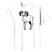 Tultex Mens Ring Spun Cotton Tee Thumbnail