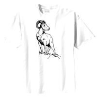 Tultex Mens Ring Spun Cotton Tee Thumbnail
