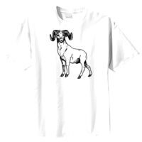 Tultex Mens Ring Spun Cotton Tee Thumbnail