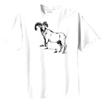 Tultex Mens Ring Spun Cotton Tee Thumbnail