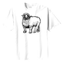 Tultex Mens Ring Spun Cotton Tee Thumbnail