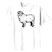 Tultex Mens Ring Spun Cotton Tee Thumbnail