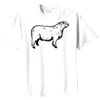 Tultex Mens Ring Spun Cotton Tee Thumbnail