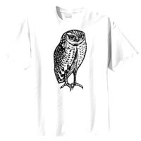 Tultex Mens Ring Spun Cotton Tee Thumbnail