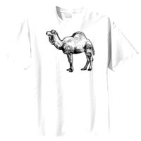 Tultex Mens Ring Spun Cotton Tee Thumbnail