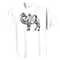 Tultex Mens Ring Spun Cotton Tee Thumbnail