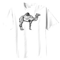 Tultex Mens Ring Spun Cotton Tee Thumbnail