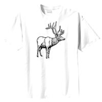 Tultex Mens Ring Spun Cotton Tee Thumbnail