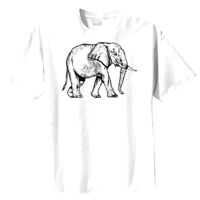 Tultex Mens Ring Spun Cotton Tee Thumbnail