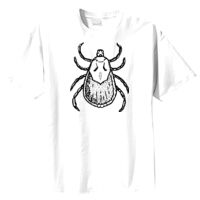 Tultex Mens Ring Spun Cotton Tee Thumbnail