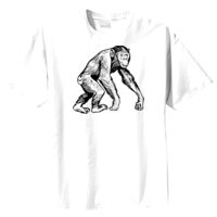 Tultex Mens Ring Spun Cotton Tee Thumbnail