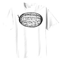 Tultex Mens Ring Spun Cotton Tee Thumbnail