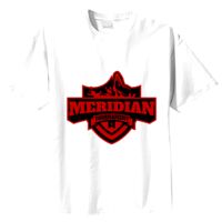 Tultex Mens Ring Spun Cotton Tee Thumbnail