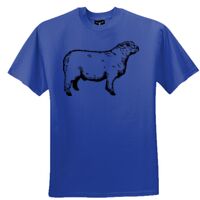 Tultex Youth Ring Spun Cotton Tee Thumbnail