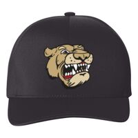 Flexfit Delta Seamless Cap  Thumbnail