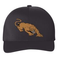 Flexfit Delta Seamless Cap  Thumbnail