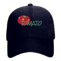 OTTO Garment Washed superior Cotton Twill Six Panel Low Profile Dad Hat Thumbnail