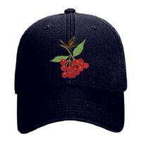 OTTO Garment Washed superior Cotton Twill Six Panel Low Profile Dad Hat Thumbnail