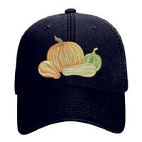 OTTO Garment Washed superior Cotton Twill Six Panel Low Profile Dad Hat Thumbnail