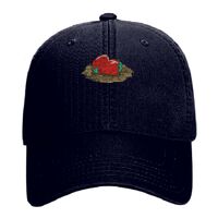 OTTO Garment Washed superior Cotton Twill Six Panel Low Profile Dad Hat Thumbnail