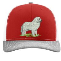 Richardson 112 Snapback Trucker Cap Thumbnail