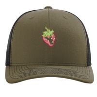 Richardson 112 Snapback Trucker Cap Thumbnail