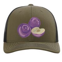 Richardson 112 Snapback Trucker Cap Thumbnail