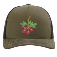 Richardson 112 Snapback Trucker Cap Thumbnail