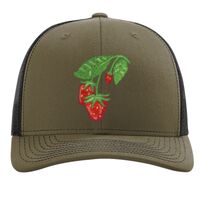 Richardson 112 Snapback Trucker Cap Thumbnail