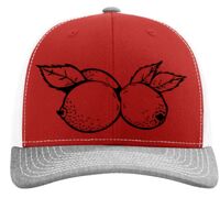 Richardson 112 Snapback Trucker Cap Thumbnail