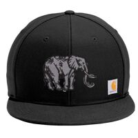 ® Ashland Cap Thumbnail