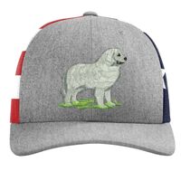 Richardson 112PM Snapback Trucker Cap Thumbnail