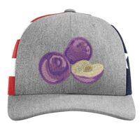 Richardson 112PM Snapback Trucker Cap Thumbnail